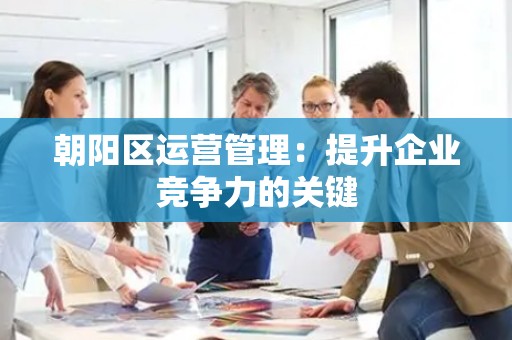 朝阳区运营管理：提升企业竞争力的关键