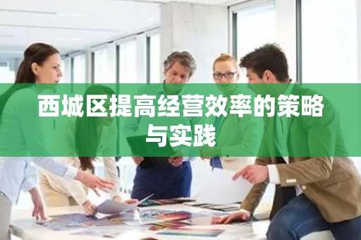 西城区提高经营效率的策略与实践