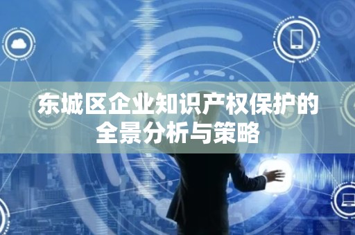 东城区企业知识产权保护的全景分析与策略