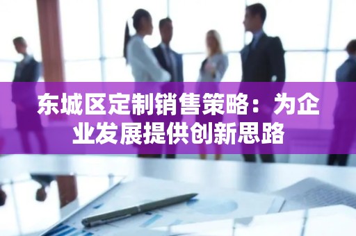 东城区定制销售策略：为企业发展提供创新思路