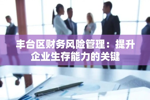 丰台区财务风险管理：提升企业生存能力的关键