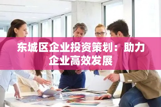 东城区企业投资策划：助力企业高效发展