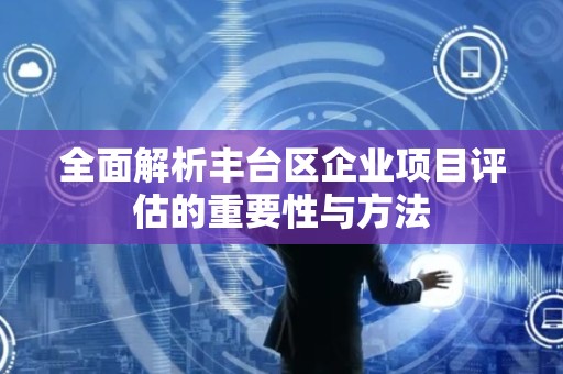 全面解析丰台区企业项目评估的重要性与方法