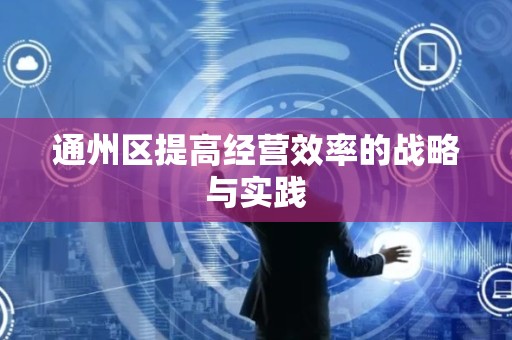 通州区提高经营效率的战略与实践