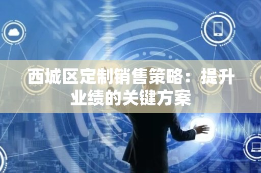 西城区定制销售策略：提升业绩的关键方案