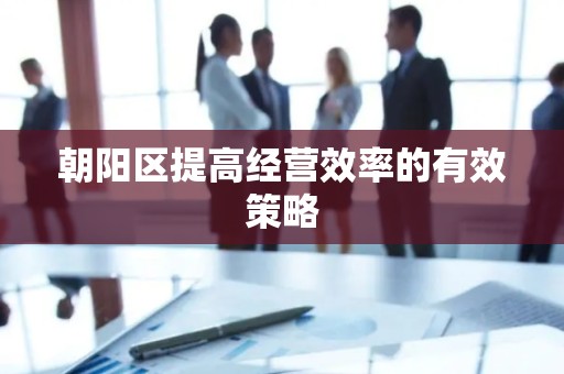 朝阳区提高经营效率的有效策略
