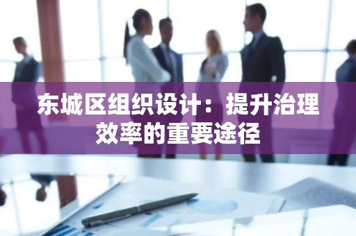 东城区组织设计：提升治理效率的重要途径