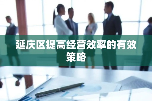 延庆区提高经营效率的有效策略