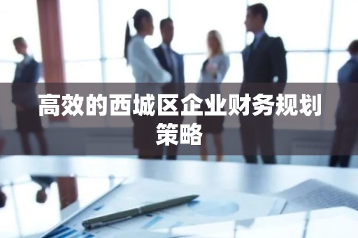 高效的西城区企业财务规划策略