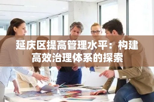 延庆区提高管理水平：构建高效治理体系的探索