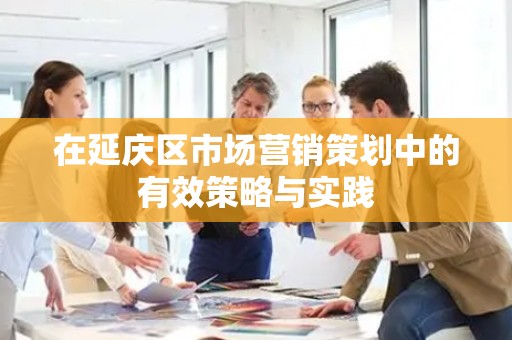 在延庆区市场营销策划中的有效策略与实践