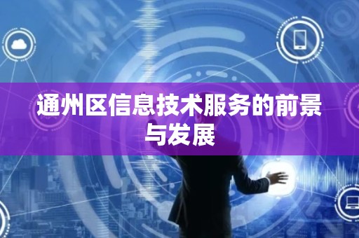通州区信息技术服务的前景与发展