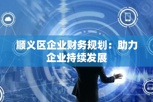 顺义区企业财务规划：助力企业持续发展