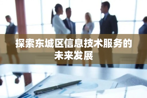 探索东城区信息技术服务的未来发展