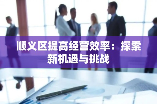 顺义区提高经营效率：探索新机遇与挑战